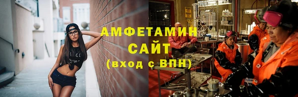 индика Дмитровск