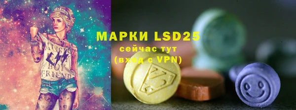 индика Дмитровск