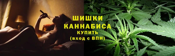 индика Дмитровск