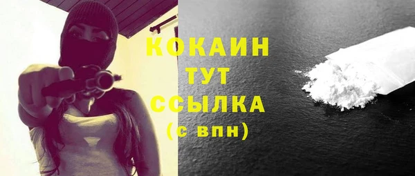 хмурый Бердск