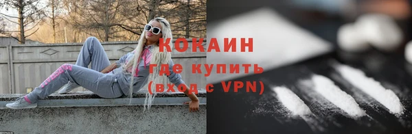 индика Дмитровск