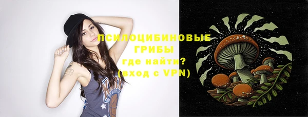 винт Долгопрудный