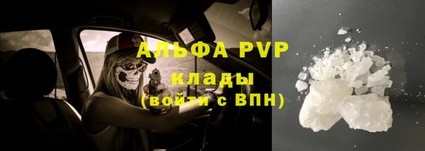 индика Дмитровск
