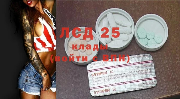 индика Дмитровск