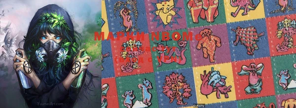индика Дмитровск
