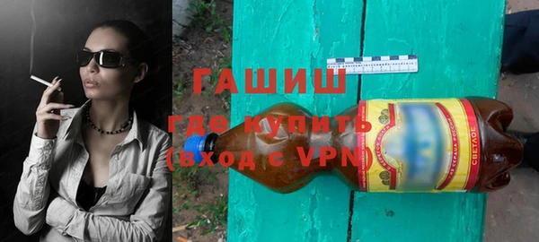 индика Дмитровск