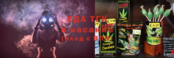 индика Дмитровск