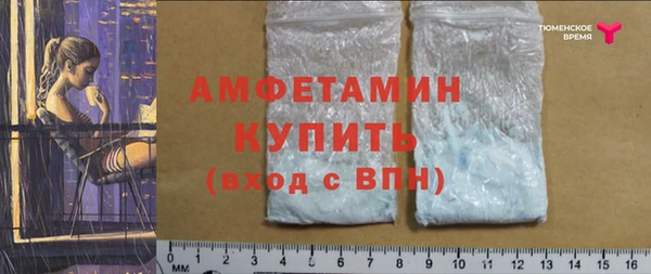 мет Дмитров