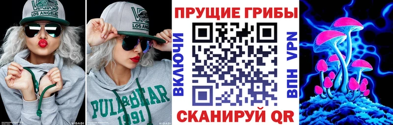 Купить где  Киржач  Псилоцибиновые грибы MAGIC MUSHROOMS 